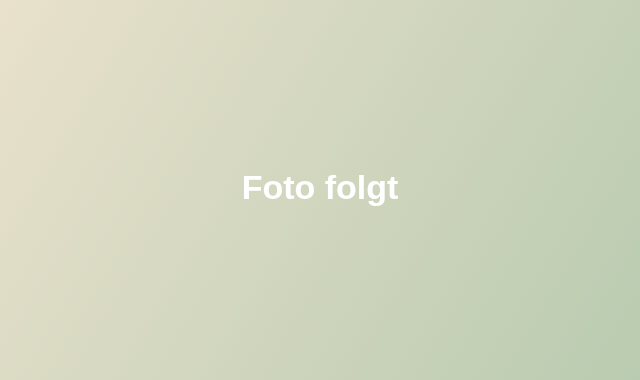 Platzhalterfoto Erfahrungsbericht zum Bibel-Basiskurs