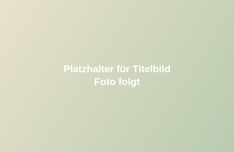 Symbolbild zum Bibel-Basiskurs Grundlagen der Bibel einfach erklärt